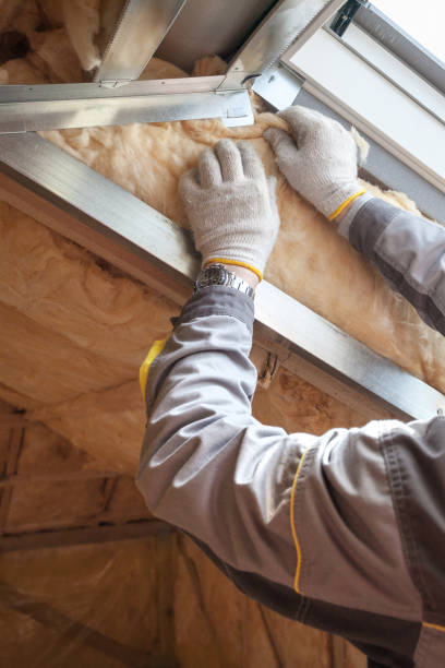 Best Insulation Installation Services in Salisbury, MO