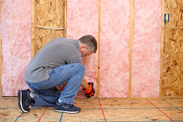 Best Residential Insulation in Salisbury, MO